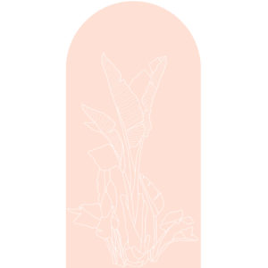 walldecals, tropical stickers, pal sticke