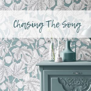 Chasing The Song